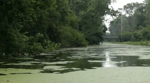 Pond in the rain Stockbeeldmateriaal 12030558