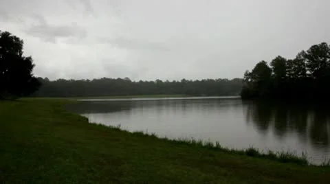 Pond on a rainy day Stock Footage 8852613