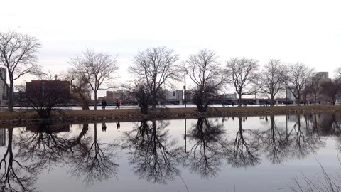 Pond Reflecting the Landscape at Charles River Esplanade, Boston - USA, 2016 Stock Footage 88335448