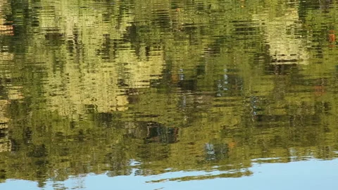POND REFLECTION Stock Footage 181145865