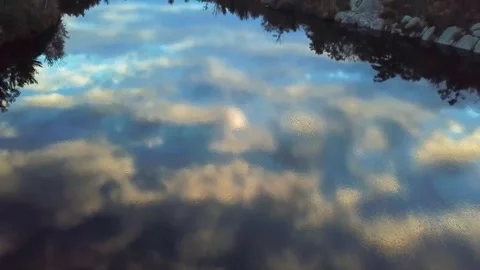 Pond Reflection in the Forest | 2.7K Drone Footage Stock Footage 171397456