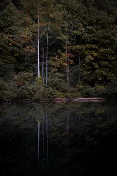 Pond reflection at George's hole in Fall creek falls state park in Tennessee Stock Photos