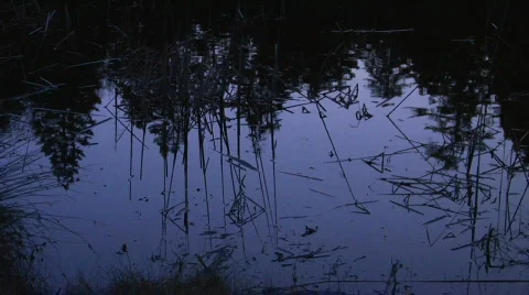 Pond reflection night 2 Stock-Footage 454449