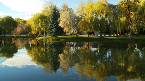 Pond reflections Stock Footage 1038406
