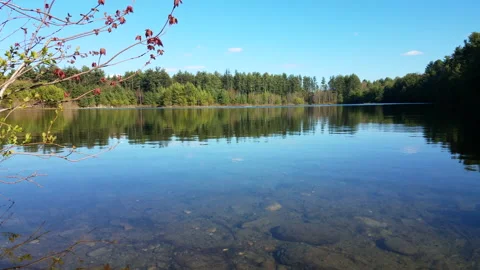 Pond Reflections Video stock 130756827