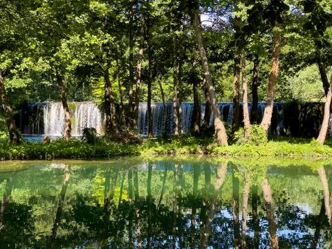 Pond with reflections Stock Photos