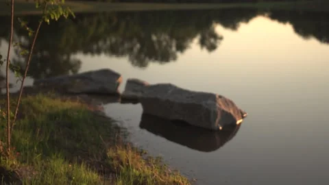 Pond Reflections at Sunset Stock Footage 101256204