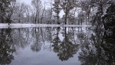 Pond Reflections in the winter with snow - breathtaking - 4K Stock-Footage 294692011