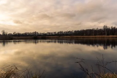 Pond of relaxation 写真素材
