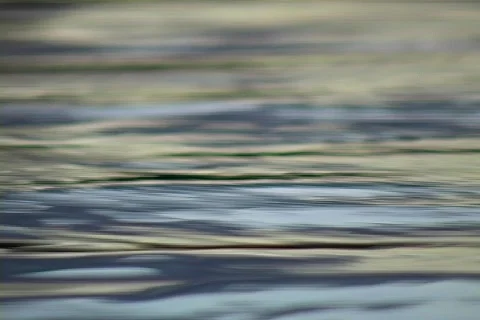 Pond ripples Stock Footage 286872