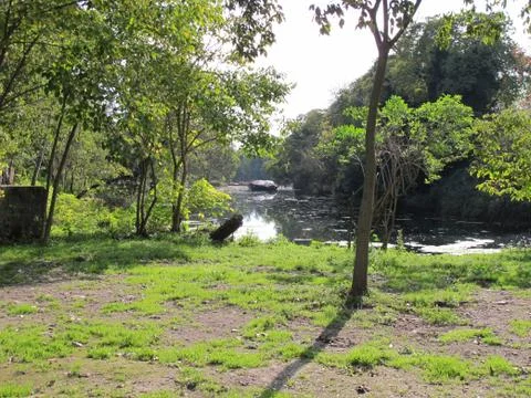 Pond river with tree Stock Photos