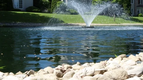 Pond rocks forefront Video stock 109559963