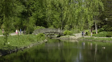 A pond running bellow a bridge at park. 4K UHD. Video stock 50145722