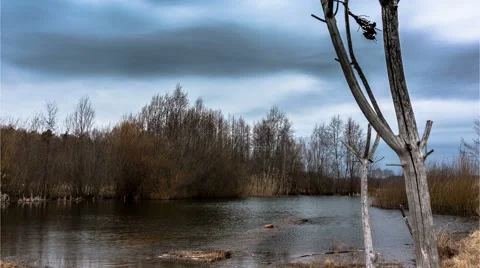 Pond with running clouds Stock Footage 59841481