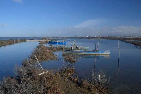 Pond of Santa Gilla Stock Photos