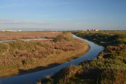 Pond of Santa Gilla Stock Photos