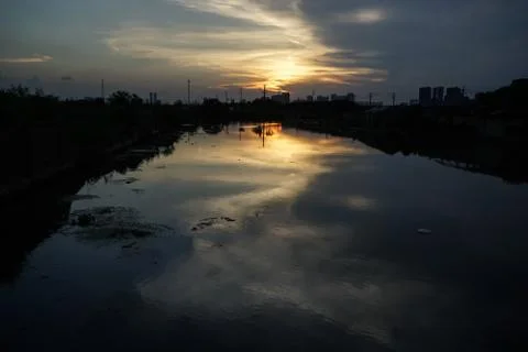 The pond scene in the evening Stock Photos