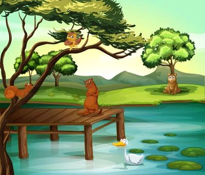 Pond scene Illustrazione stock