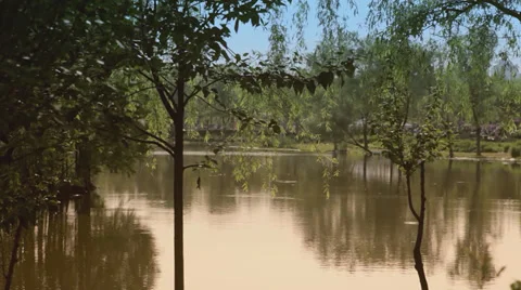 Pond Scene in Shanghai Stock Footage 38729825