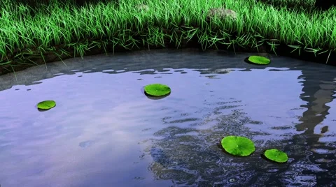 Pond Seamlesss Loop 스톡 동영상 40334127