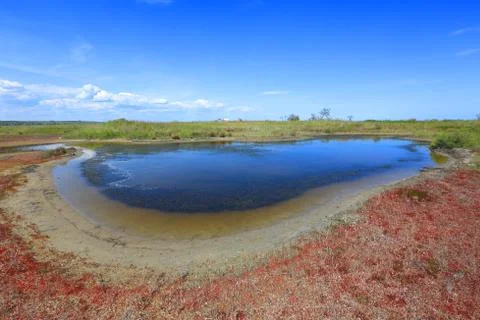 Pond on seashore Stock Photos