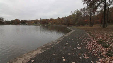 Pond side capturing nature during the foliage season Stock-Footage 27511067