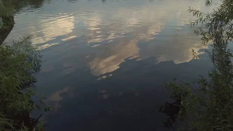 Pond-side Reflection and Ripples Stock Footage 124622847