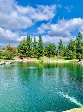 Pond Side View Stock Photos