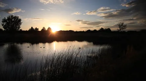 Pond Silhouette Stock Footage 63320551