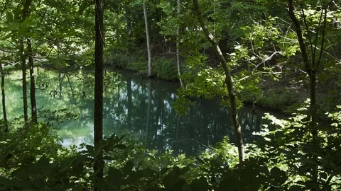 A Pond Sits In A Park Forest Stock Footage 87399756