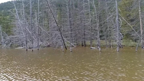 Pond skimming with a drone Stock Footage 86338837