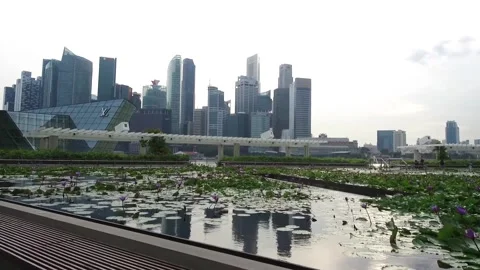 Pond with Skyline View and Mall in Singapore Stock Footage 131227285