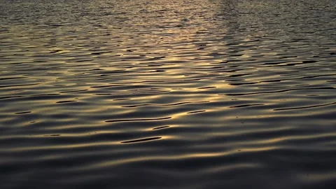 A pond with small ripples is reflecting the late day sunlight  Stock Footage 249559672