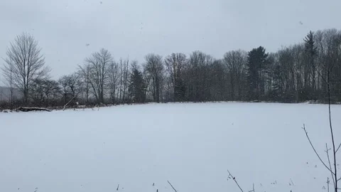 Pond in Snow Video stock 148172911