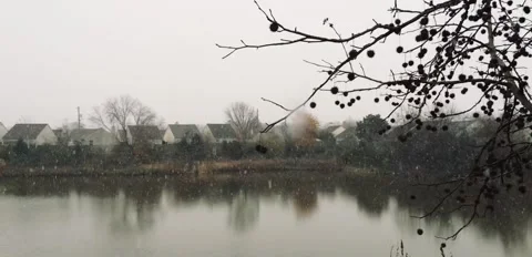 Pond Snowfall Stock Footage 272152015