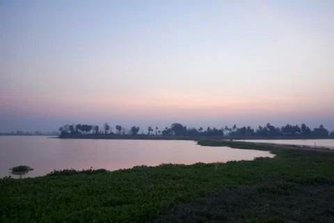 A pond is source of aquatic animals. Stock Photos