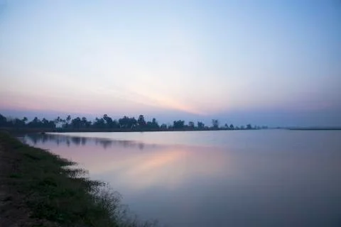 A pond is source of aquatic animals. Stock Photos