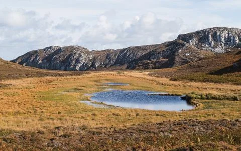 Pond at South Stack Cliffs Nature Reserve Stock Photos