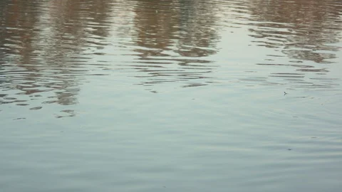 Pond Splash Stock Footage 90189189