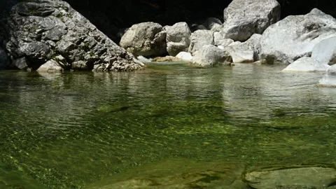 Pond of a stony mountain stream with clean water 스톡 동영상 260832669