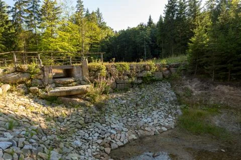 Pond in the summer forest Foto stock