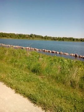 Pond in summer Foto stock