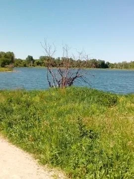 Pond in summer Stock Photos