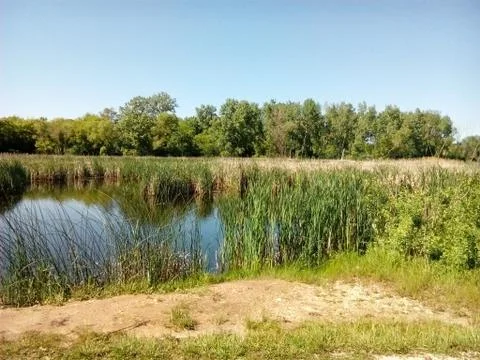 Pond in summer Stock Photos
