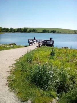 Pond in summer Stock Photos