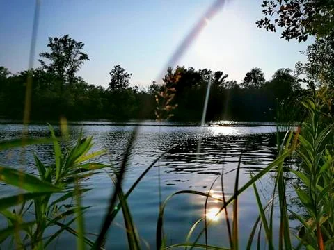 A  pond with sun reflection Foto stock