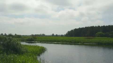 Pond on sunny day Video stock 64859909