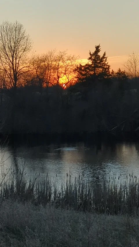 Pond at sunset Stock Footage 298788953