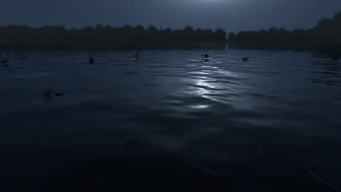 Pond surface night scene Vídeo Stock 342145019