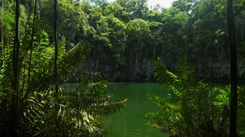 A pond surrounded by large green trees and rocks Stock Footage 71287837